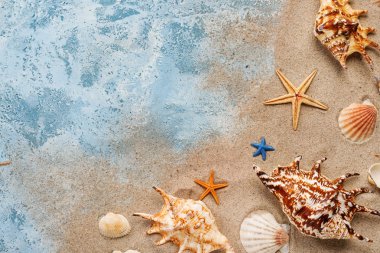 Farklı deniz kabukları ve kum renkli arka plan üzerinde kompozisyonu