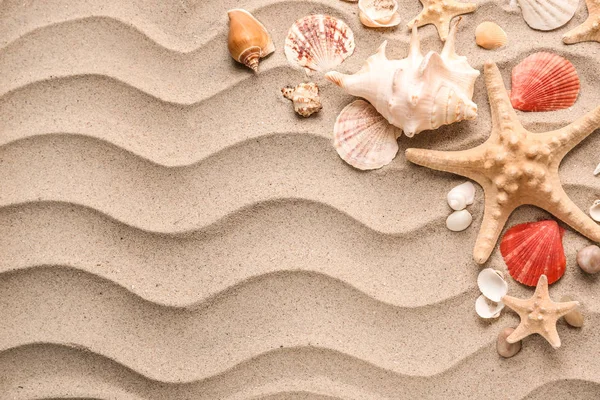 Komposition Med Olika Snäckskal Och Starfishes Sand — Stockfoto