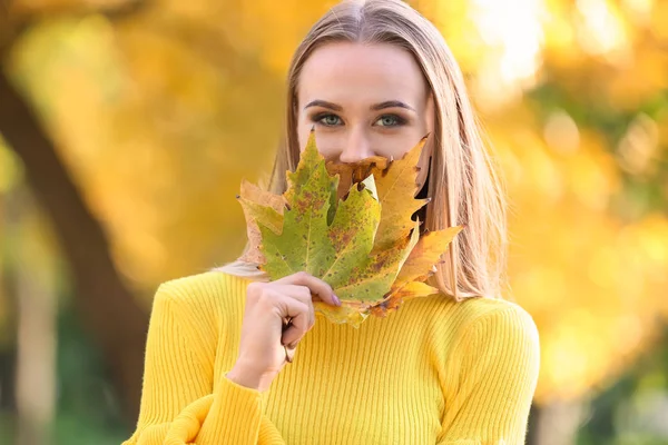 Beautiful Young Woman Autumn Leaves Park — Stock Photo, Image