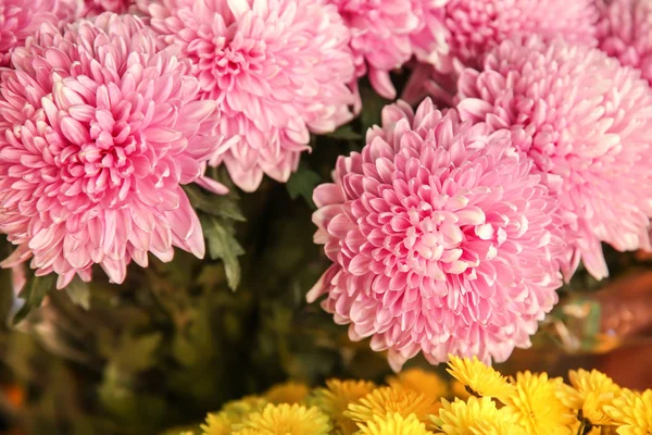 Plenty Beautiful Flowers Closeup — Stock Photo, Image