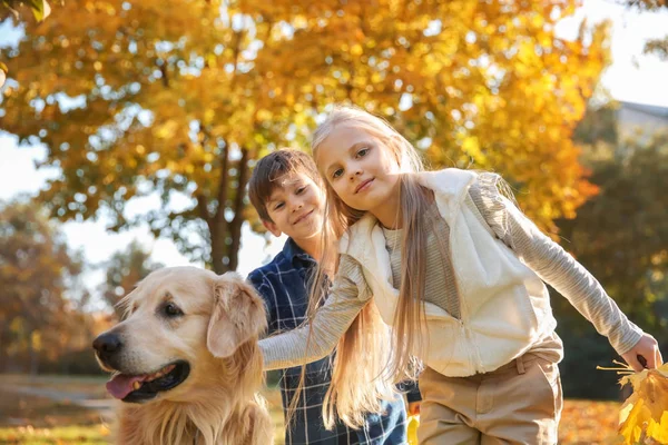 Cute Children Dog Autumn Park — Stock Photo, Image