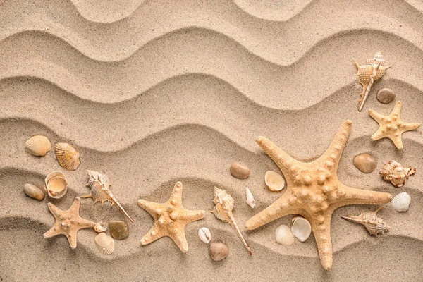 Komposition Med Olika Snäckskal Och Starfishes Sand — Stockfoto