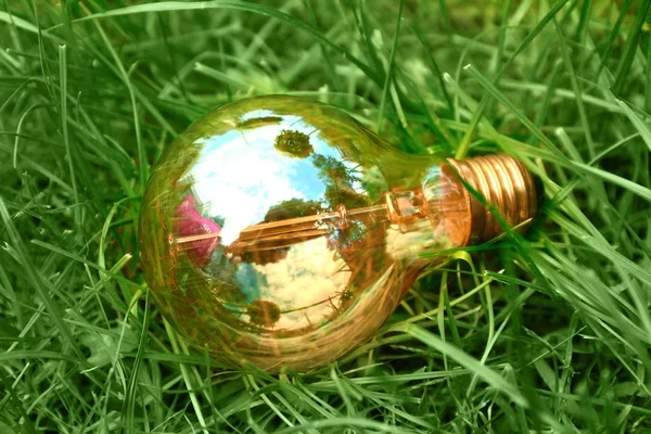 Light Bulb Green Grass — Stock Photo, Image