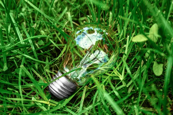 Light Bulb Green Grass — Stock Photo, Image