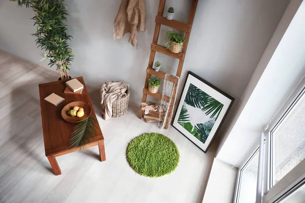 Room interior in eco style with stylish furniture and green plants