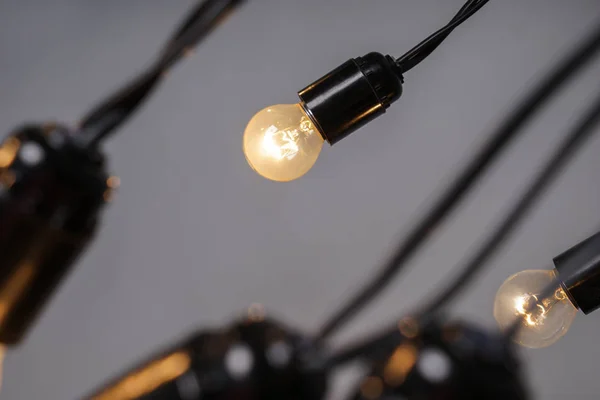 Bombillas Brillantes Sobre Fondo Gris —  Fotos de Stock