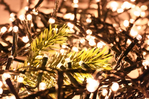 Gloeiende Lichten Van Kerstmis Met Spar Boomtakken Close — Stockfoto