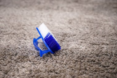 Halı Temizleme fırçası