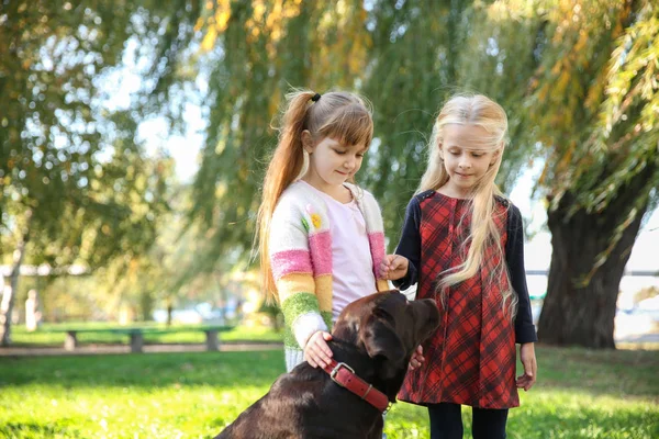Милые Маленькие Девочки Собакой Осеннем Парке — стоковое фото