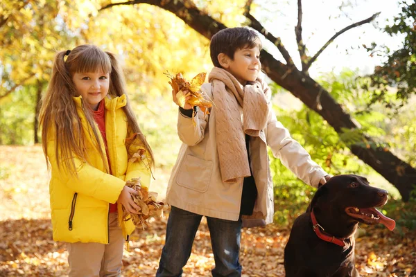 秋の公園で犬と一緒にかわいい子供たち — ストック写真