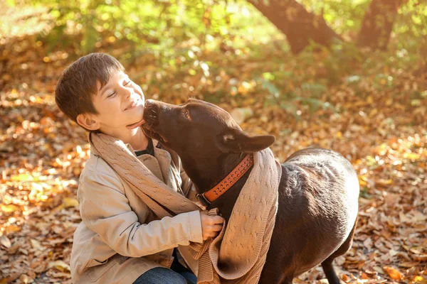 秋の公園で犬と一緒にかわいい男の子 — ストック写真