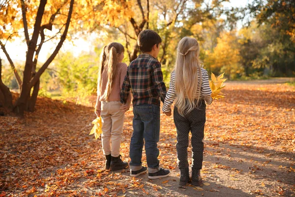 Bambini Carini Che Divertono Nel Parco Autunnale — Foto Stock