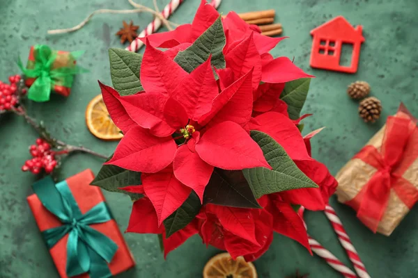 Рождественский Цветок Пуансеттия Подарочными Коробками Украшения Цветном Столе — стоковое фото