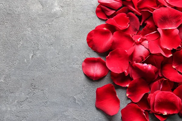 Лепестки Красной Розы Сером Фоне — стоковое фото