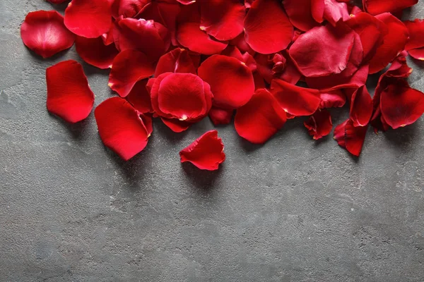 Лепестки Красной Розы Сером Фоне — стоковое фото