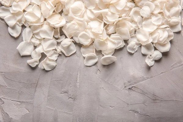 Pétalos Rosas Blancas Sobre Fondo Gris — Foto de Stock