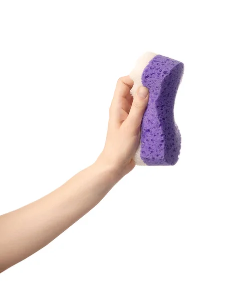 Woman Holding Sponge Cleaning White Background — Stock Photo, Image