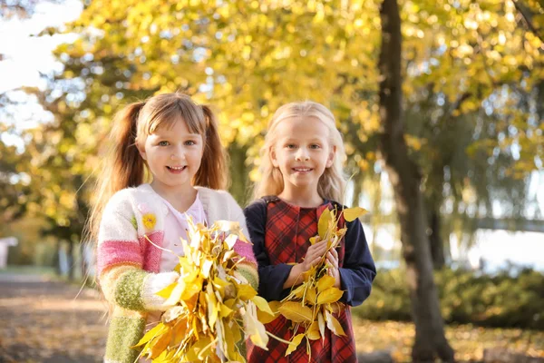 Lindas Niñas Con Hojas Otoño Parque — Foto de Stock