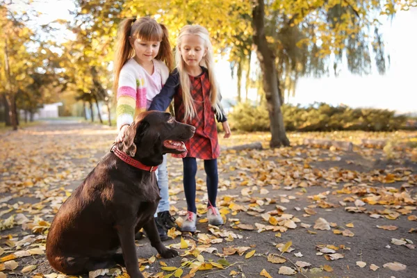 Meninas Bonitos Com Cão Parque Outono — Fotografia de Stock