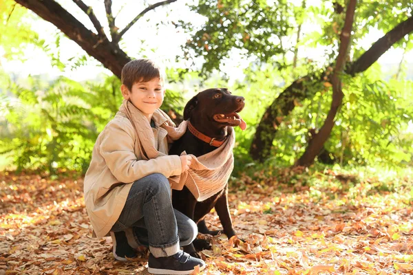 Lindo Niño Con Perro Parque Otoño — Foto de Stock