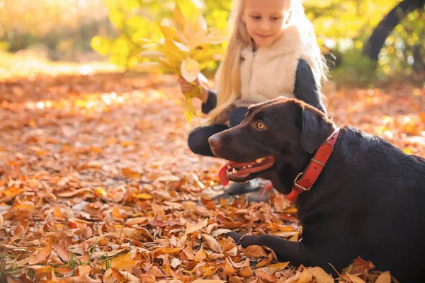 秋の公園で犬と一緒にかわいい女の子 — ストック写真