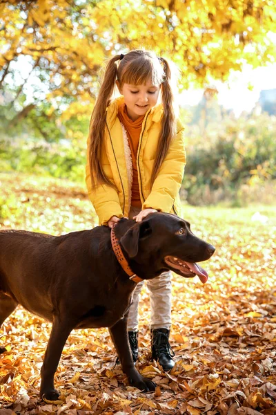 Linda Niña Con Perro Parque Otoño —  Fotos de Stock