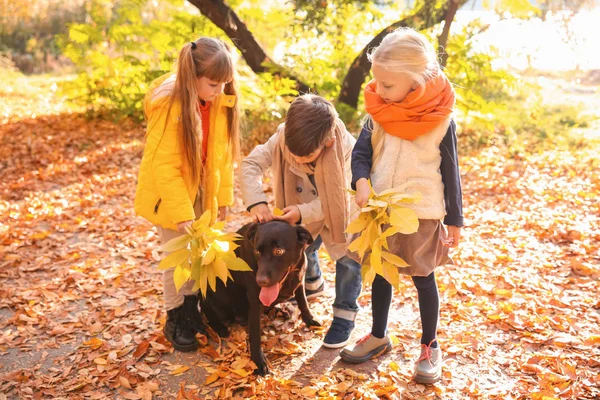 Lindos Niños Pequeños Con Perro Parque Otoño —  Fotos de Stock
