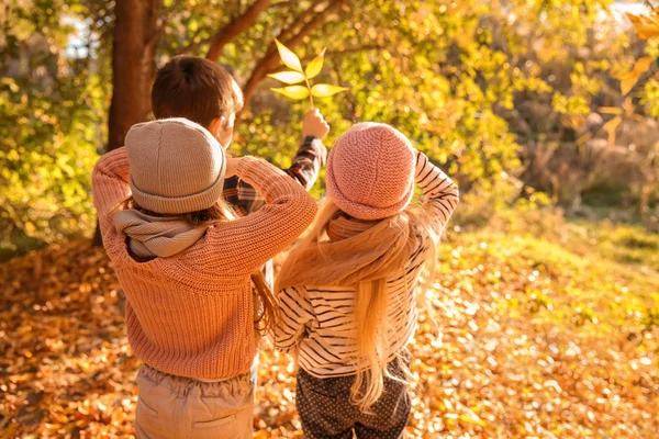 Милые Маленькие Дети Осеннем Парке — стоковое фото