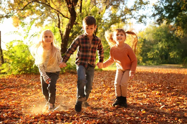Милые Маленькие Дети Веселятся Осеннем Парке — стоковое фото