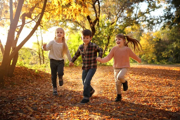 Lindos Niños Divirtiéndose Parque Otoño —  Fotos de Stock