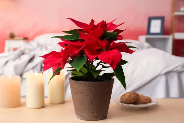 Рождественский Цветок Пуансеттия Деревянный Стол Спальне — стоковое фото