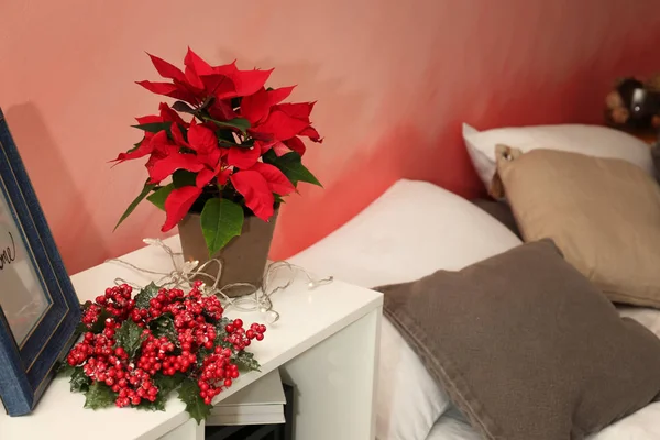 Fiore Natale Poinsettia Scaffale Camera Letto — Foto Stock