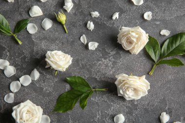 Beyaz güller ve yaprakları gri arka plan üzerinde