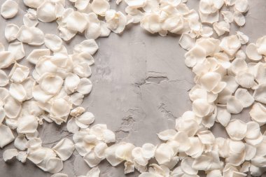 Çerçeve gri arka plan üzerinde beyaz gül yaprakları yapılmış