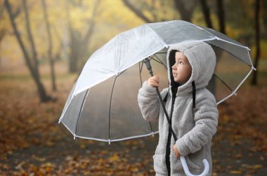 Sonbahar Park şeffaf şemsiye ile şirin küçük çocuk