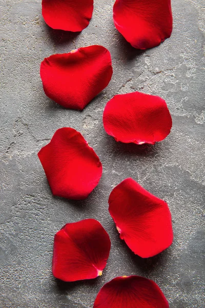 Czerwone Płatki Róż Szarym Tle — Zdjęcie stockowe