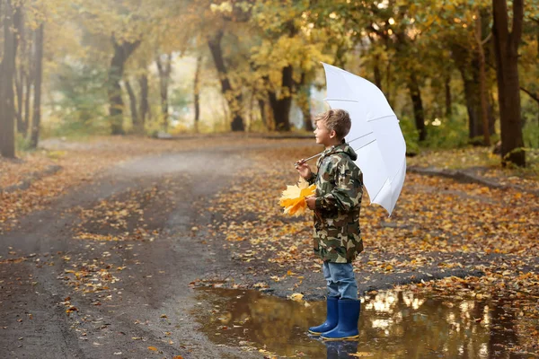 Cute Little Boy Umbrella Autumn Park — Stock Photo, Image