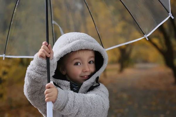 秋の公園で透明な傘のかわいい男の子 — ストック写真
