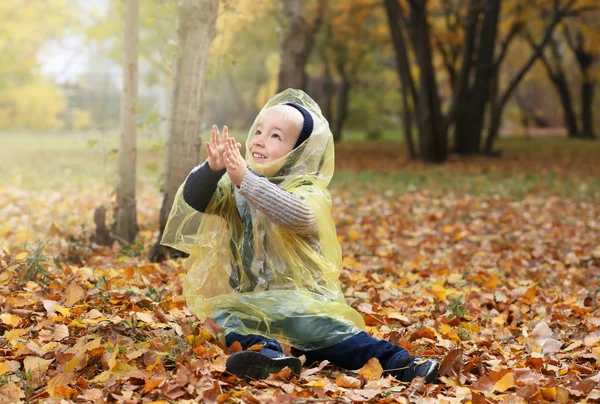 Cute Little Boy Raincoat Having Fun Autumn Park — Stock Photo, Image