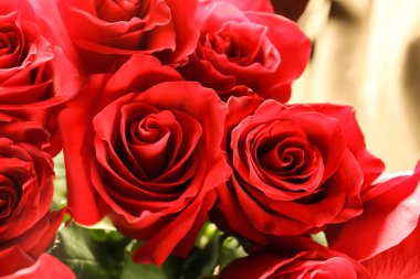 Güzel gül, closeup buketi