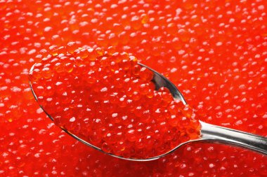 Lezzetli kırmızı havyar, closeup kaşıkla