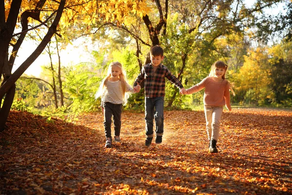 Lindos Niños Divirtiéndose Parque Otoño —  Fotos de Stock