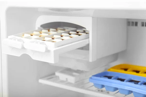 Trays with coffee ice cubes in fridge
