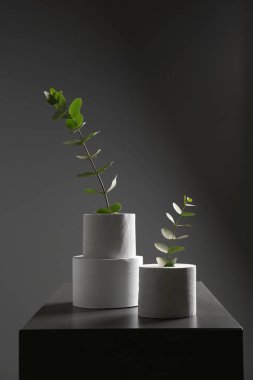 Koyu arka plan karşı tablo üzerinde rulo tuvalet kağıdı