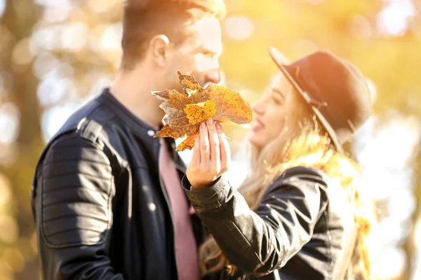 Loving Young Couple Autumn Leaves Park — Stock Photo, Image