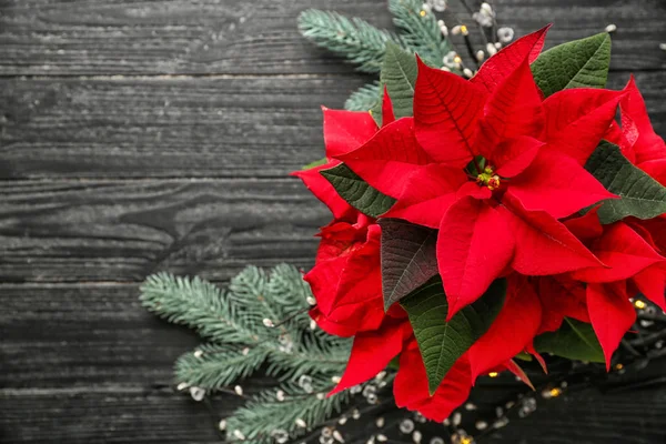 Poinsettia Flores Navidad Mesa Madera — Foto de Stock