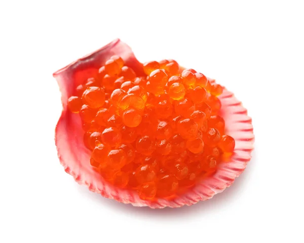 Sea Shell Delicious Red Caviar White Background — Stock Photo, Image