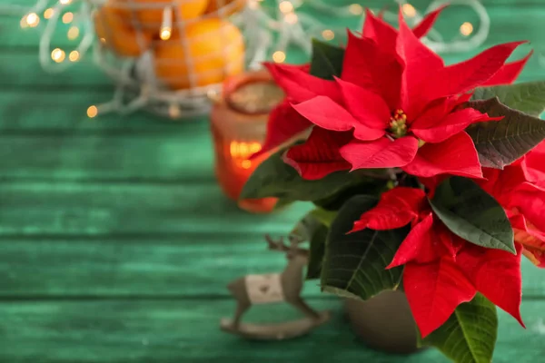 Poinsettia Fiori Natale Tavolo Legno Colori — Foto Stock