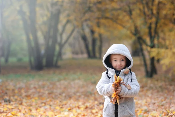 Cute Little Boy Playing Leaves Autumn Park — Stock Photo, Image