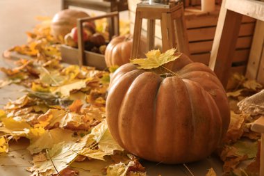 Bütün taze kabak katta sonbahar yaprakları ile